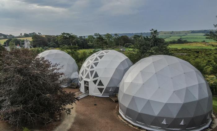 Ply domes